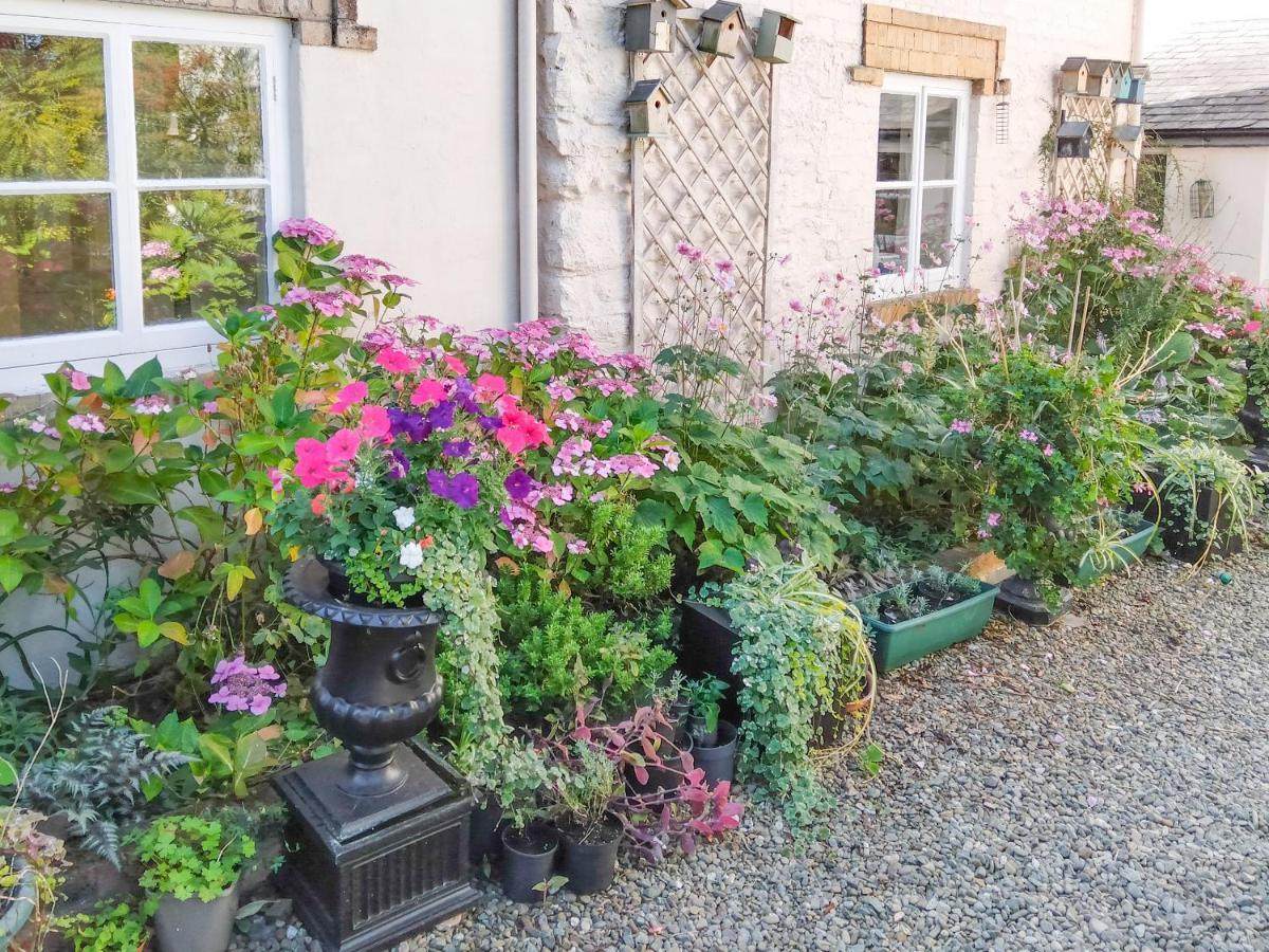 The Tower Cottage Llangollen Exterior photo